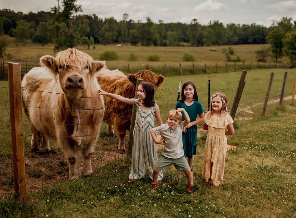portrait of kids on a farm with a cow