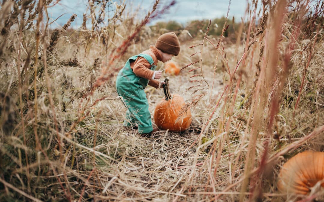 Setting Up a Pumpkin Patch Fall Mini Session: A Guide for Photographers