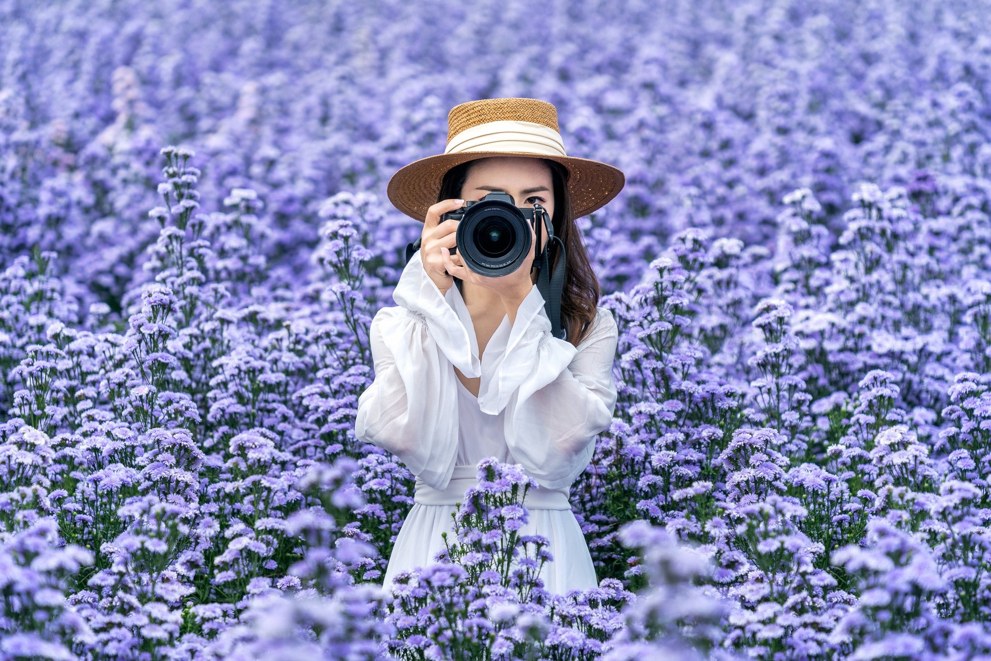 Asian photographer taking a photo in a field of Margaret flowers