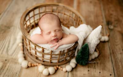 Christmas-Themed Newborn Photography